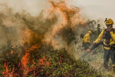 Brasil teve 1,9 mil focos de incêndio por dia em agosto