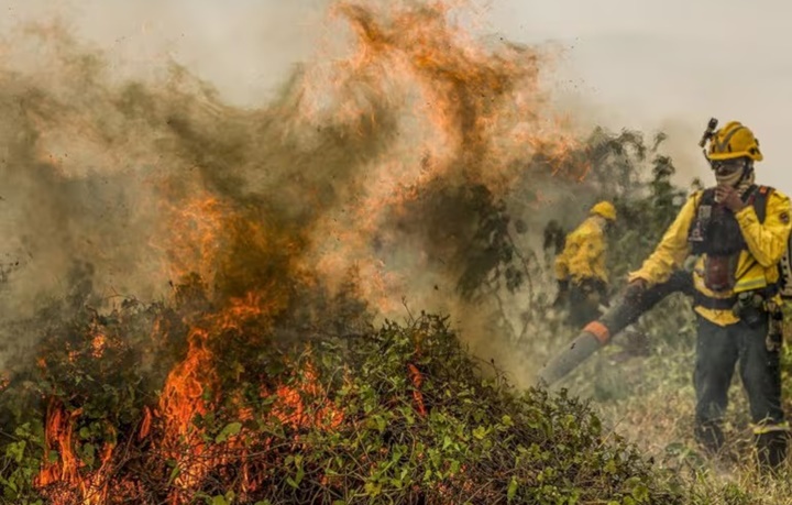 Brasil teve 1,9 mil focos de incêndio por dia em agosto