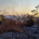 Piauí registra queda de 24% no número de focos de incêndio, aponta Semarh