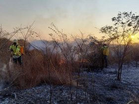 Piauí registra queda de 24% no número de focos de incêndio, aponta Semarh