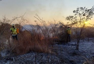 Piauí registra queda de 24% no número de focos de incêndio, aponta Semarh