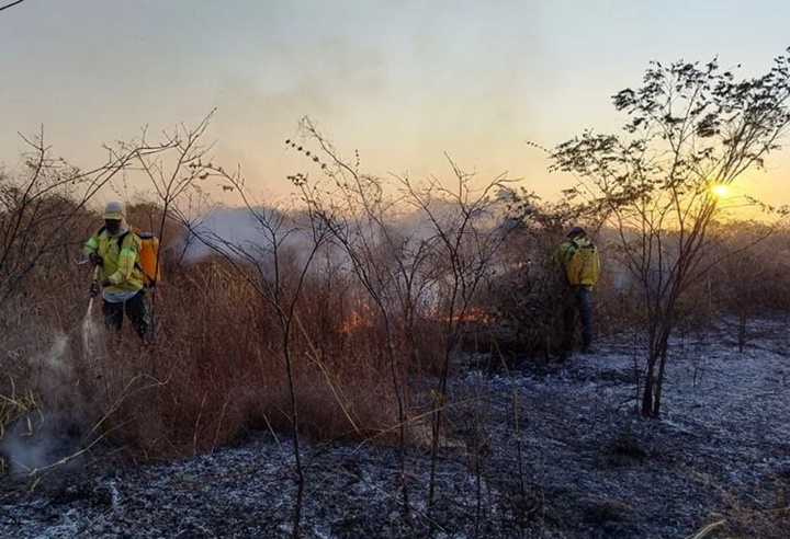 Piauí registra queda de 24% no número de focos de incêndio, aponta Semarh