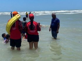 Corpo de bombeiros alerta para perigo de queimaduras por animais marinhos no litoral piauiense