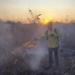 Governo do Estado proíbe o uso de fogo em todo o território piauiense