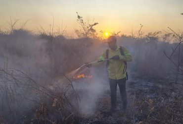 Governo do Estado proíbe o uso de fogo em todo o território piauiense