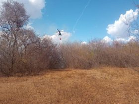 Incêndio de grandes proporções atinge vegetação próximo a posto de gasolina em Campo Maior