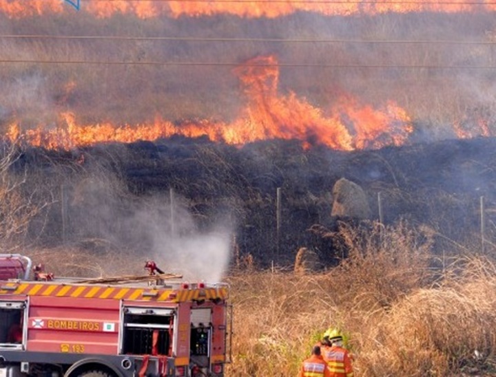 Piauí, São Paulo e Ceará têm os menores índices de bombeiros por habitantes no país