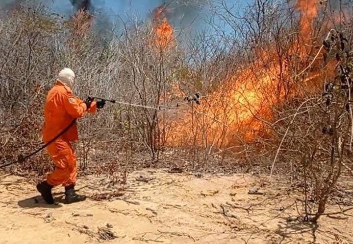 Piauí registrou 355 focos de fogo até último sábado (21), segundo Semarh