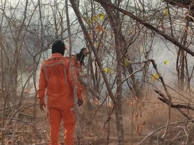 Corpo de Bombeiros combateu 442 incêndios florestais no Piauí em 2024