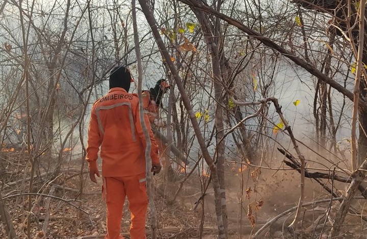 Corpo de Bombeiros combateu 442 incêndios florestais no Piauí em 2024