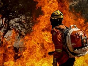 Presidente envia projeto ao Congresso Nacional que aumenta pena para crimes ambientais