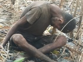 Homem é encontrado morto sentado em mata no Maranhão