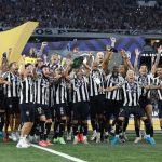 Botafogo conquista o brasileirão após 29 anos