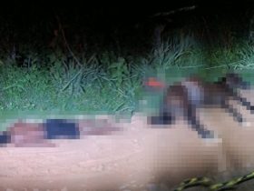 Adolescente e cavalo morrem após serem eletrocutados ao pisar em fio elétrico no Piauí