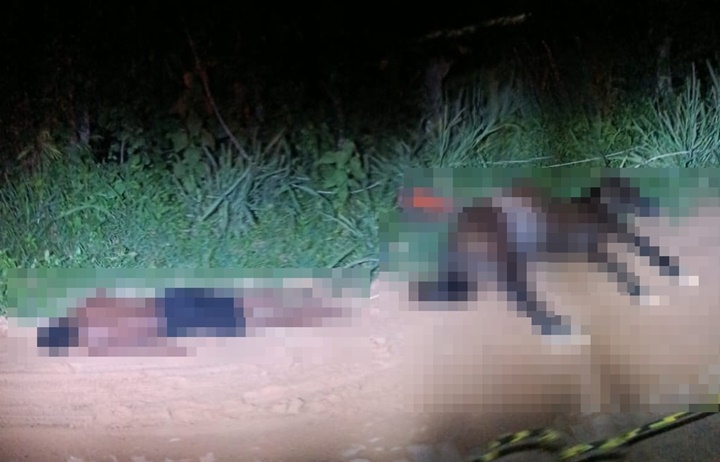 Adolescente e cavalo morrem após serem eletrocutados ao pisar em fio elétrico no Piauí