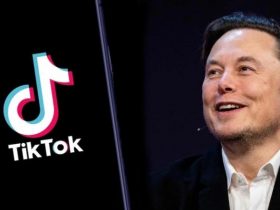 Elon Musk pode comprar o TikTok para evitar seu banimento nos Estados Unidos