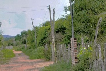 Justiça determina que equatorial melhore rede elétrica de povoado no interior do Piauí