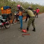 PM flagra suspeitos de caça com armas e cães no interior do Piauí