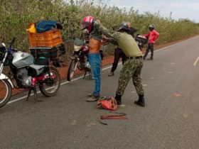 PM flagra suspeitos de caça com armas e cães no interior do Piauí