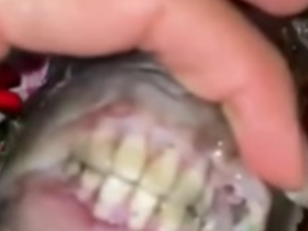 Peixe com “dentes humanos” viraliza nas redes sociais