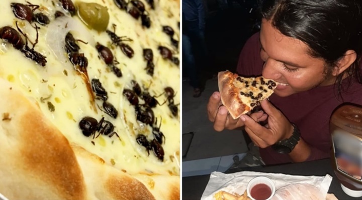 Pizza de formiga faz sucesso e atrai curiosos no Ceará