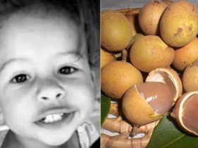 Criança de dois anos morre engasgada com caroço de pitomba no interior do Piauí