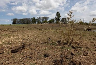 Governo federal reconhece situação de emergência em 66 cidades piauienses afetadas pela estiagem