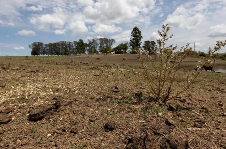 Governo federal reconhece situação de emergência em 66 cidades piauienses afetadas pela estiagem