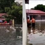 Chuvas intensas deixam estragos no litoral do Piauí