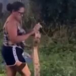Mulher captura cobra enorme sozinha e assusta moradores da região