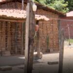 Extrema pobreza caí 50% no Piauí, aponta pesquisa