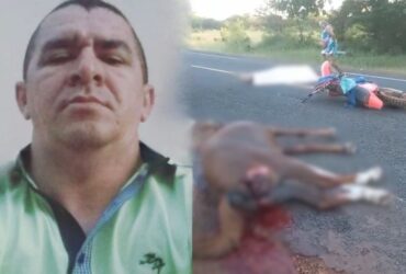 Homem morre após colidir contra cavalo entre Campo Maior e Cabeceiras