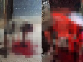 Jovem é morto com tiro na cabeça em cadeira de bar no interior do Piauí